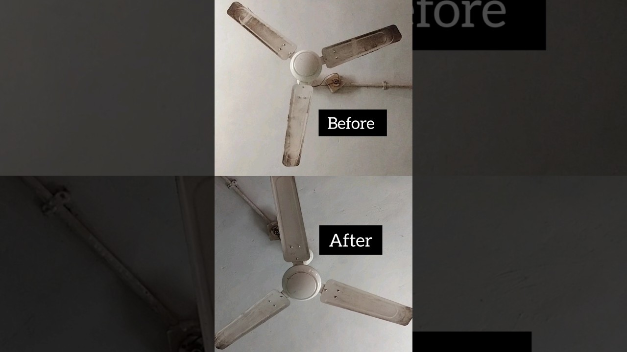 Transform your cleaning game with the Meesho fan brush! ✨ 