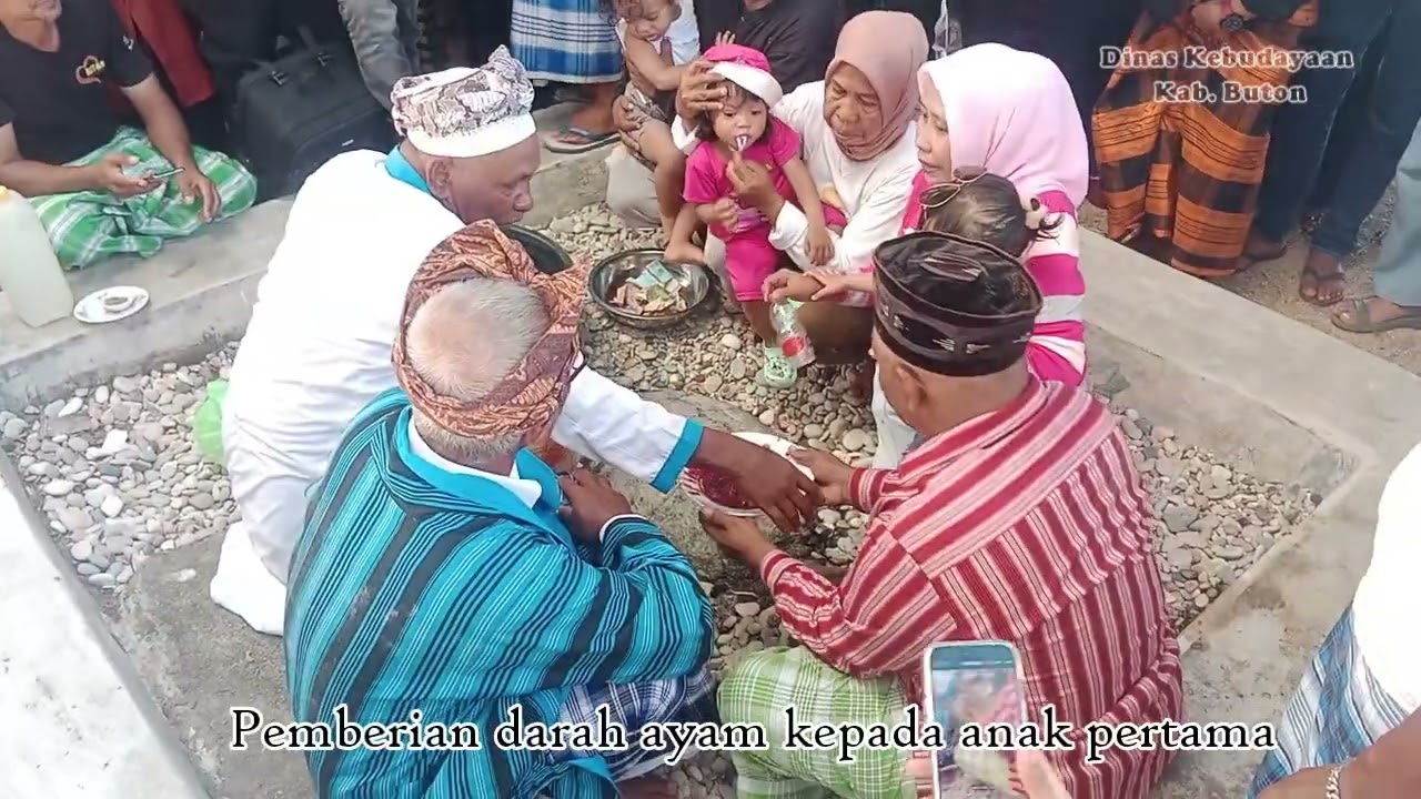 Prosesi Adat Picundupia Pasarwajo Kab  Buton