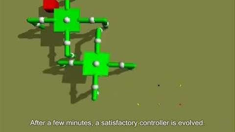 Building a quadrupedal robot and an environment that selects for locomotion.