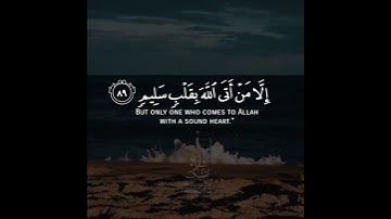 أجمل حالات واتس اب قرآن كريم بصوت سعيد الخطيب | صوت يريح القلب❤️😴