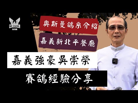 【經典回顧】&【強豪分享】&【奧斯曼鴿系介紹】嘉義新北平吳崇榮 - 賽鴿經驗分享｜耐翔購
