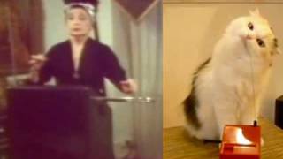 Duet for Theremin