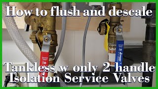 Rheem Tankless flush and descale with single handle service valve set