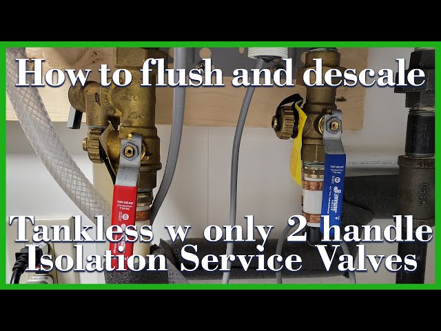Rheem Tankless flush and descale with single handle service valve set -  YouTube