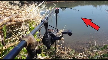 EXTREME River Carp Run COMPILATION 2022! The Brown River (Nash / Fox / Delkim)