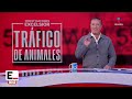 Noticias con Francisco Zea | Programa completo 29 de septiembre de 2026