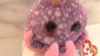 Beanie Boo Quick Updates