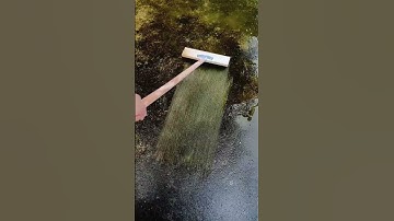 Removing algae from floor #shortsfeed #viral