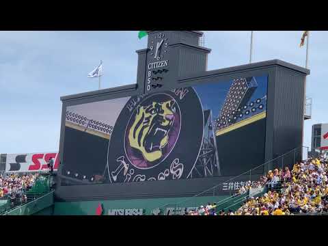 阪神タイガースかっこいいスタメン発表オープニング 2019年5月3日 #hanshin #tigers #阪神タイガース