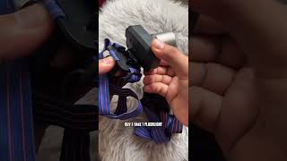 Buy 1 take 1 Flashlight