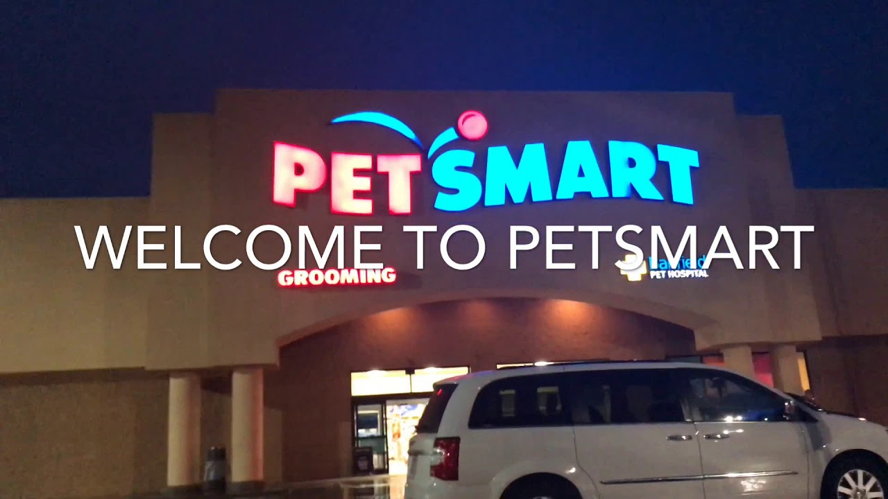 PetSmart Vlog YouTube