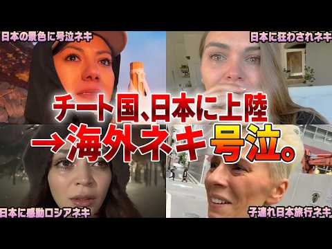 【過去動画まとめ】ネキ「帰りたくないよぉ...グスン」のサムネイル