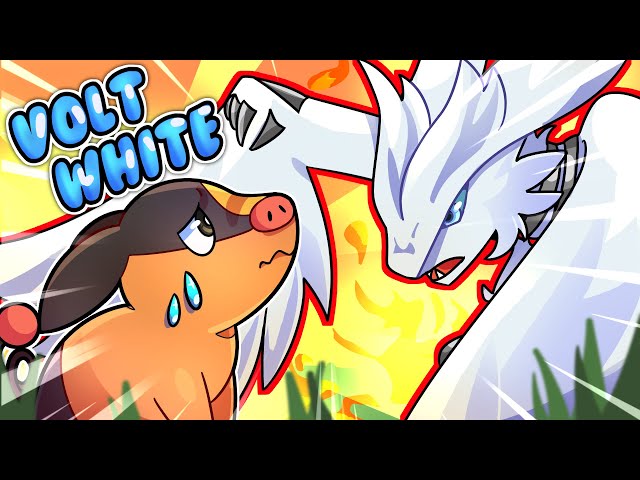 Pokemon White Deluxe + Cheat - A NDS Hack Rom, You can have a battle with  Brock on Unova Region! 