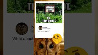 Wait Flowers Can Produce Eggs Now?