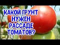 Какой торф НЕЛЬЗЯ использовать для рассады помидоров? Почему в кислом торфе желтеют листья у рассады