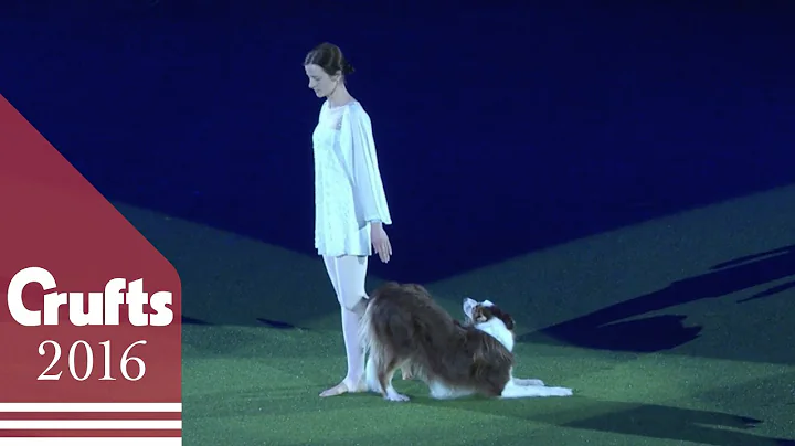 Swan Lake Routine Wins Heelwork to Music Competiti...