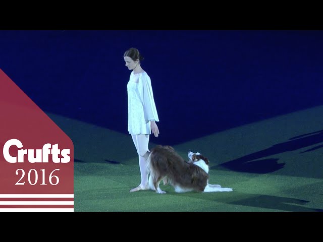 Swan Lake Routine Wins Heelwork to Music Competition | Crufts 2016