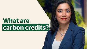 Unlocking the world of carbon credits with RVCMC