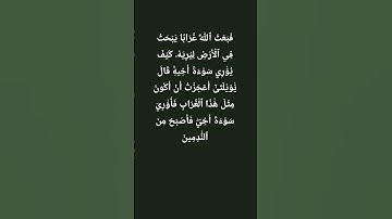 #سورة المائدة – الآية 31#اكسبلور #القرآن_الكريم #المصحف
