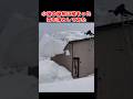 小屋の屋根の雪が落ちないので、登って上からやってみた:2026年1月