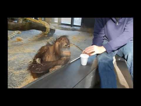 Monkey see a magic trick 😂😂😂