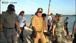 BUPATI FAHMI FADLI TANAM MANGROVE DI PASIR MAYANG