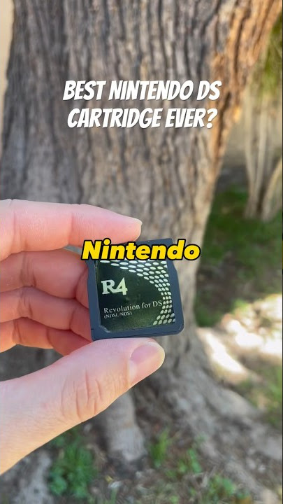 Best DS Cartridge Ever?