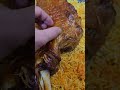 مندي لحم عراقي كتف خروف مشوي 