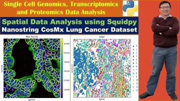 Spatial Data Analysis using Squidpy: Nanostring CosMx Lung Cancer Dataset