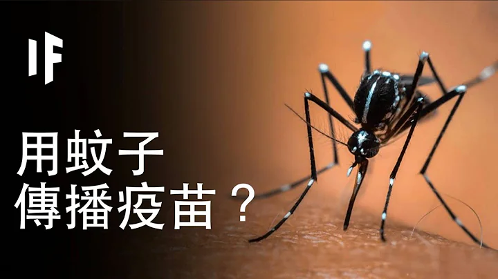 如果蚊子会传播疫苗？｜大胆科学 - 天天要闻