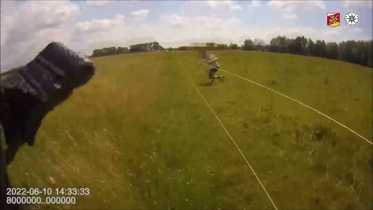 Policie ČR: Mladík bez řidičáku po několikáté přistižen za volantem