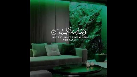 قرآن الكريم بصوت سعد الغامدي اجمل حالات واتس اب دينية سورة الأنعام فيديو قصيره 🤍🌿