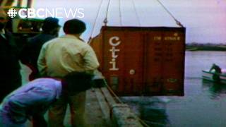 A container ship sank. Then came the treasure hunters | From the archives