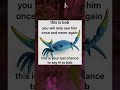 Say Hi To Bob Funny Memes Roblox Edit Fyppppppppシ Gorillatag Gorillatagquest Say Hi To Bob Funny Memes Roblox Edit Fyppppppppシ Gorillatag Gorillatagquest