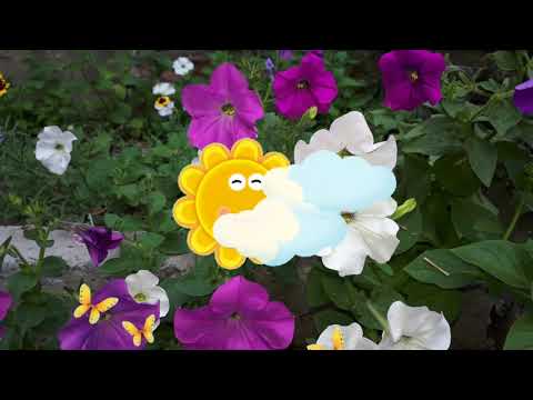 ДОБРОЕ УТРО Музыкальная открыткаЦветочное пожелание