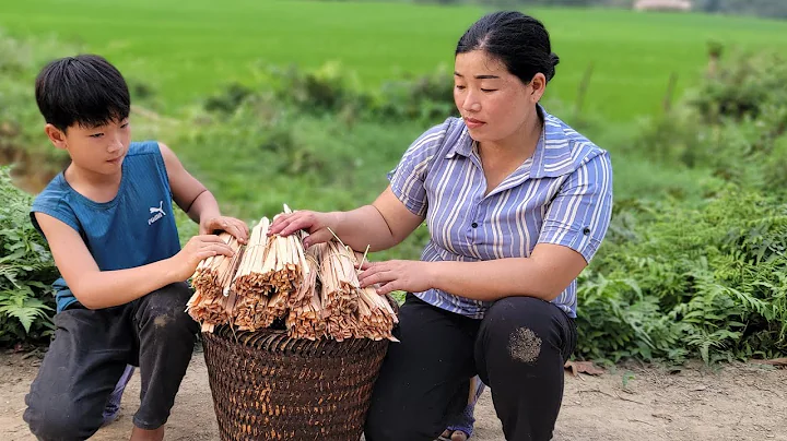 A 35-year-old single mother and her son go to the forest to cut toothpicks to sell - everyday life - DayDayNews