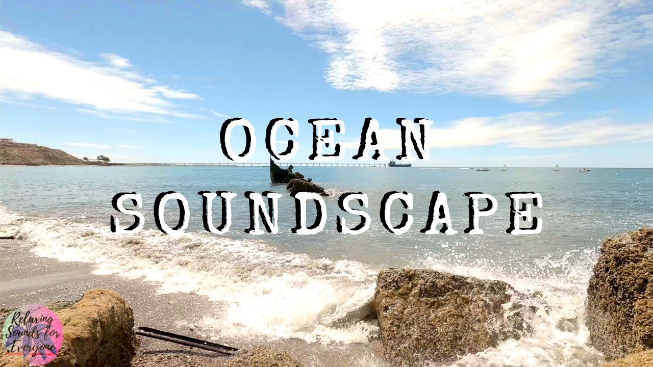 Nature soundscape   seashore sounds (Patagonia)