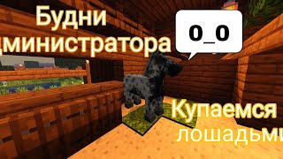 картинка: Купаемся с лошадьми|| будни Администратора|| кск в Майнкрафт