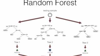 Machine Learning for Intrusion Detectors from attacking data
