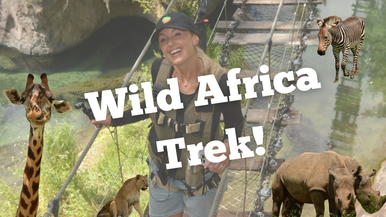 WILD AFRICA TREK at Animal Kingdom! 💚Full vlog💚