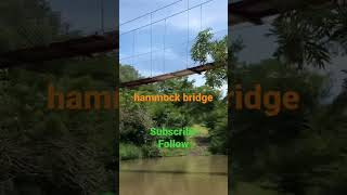 hammock bridge