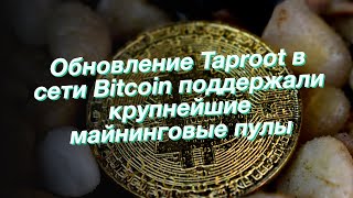 Обновление Taproot в сети Bitcoin поддержали крупнейшие майнинговые пулы