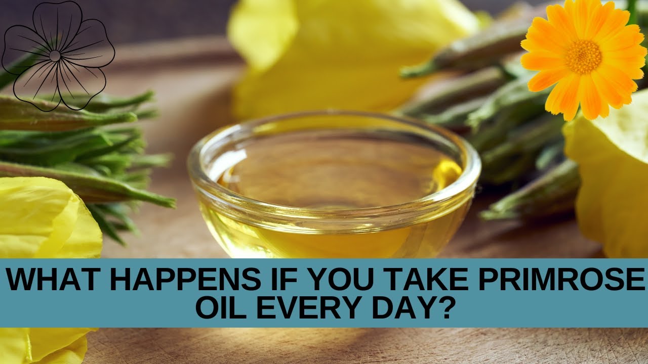 What Happens If You Take Evening Primrose Oil every day? YouTube