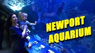 Our trip to Newport Aquarium! 2016