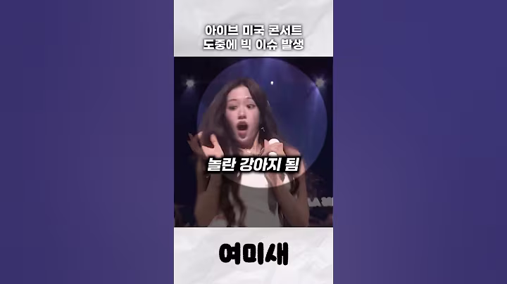 아이브, 미국 콘서트 중에 대형 이슈 발생함 😱