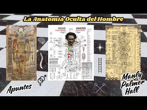 La Anatomia Oculta Del Hombre Apuntes Sobre La Versión De Manly Palmer Hall