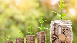 Green Finance 101: Investing in a Sustainable Future