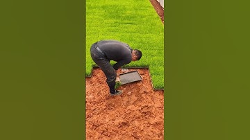 Rice Seedlings Throwing Farming Techniques #satisfying #short