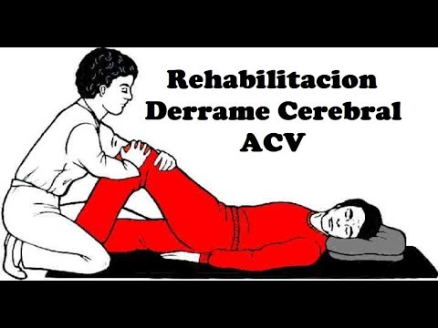 Vídeo: Tratamiento De Conos De Pino Después De Un Derrame Cerebral: Recetas Sobre Cuándo Recolectar Conos