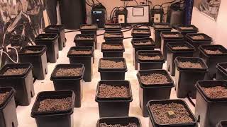 Grow and Flow system